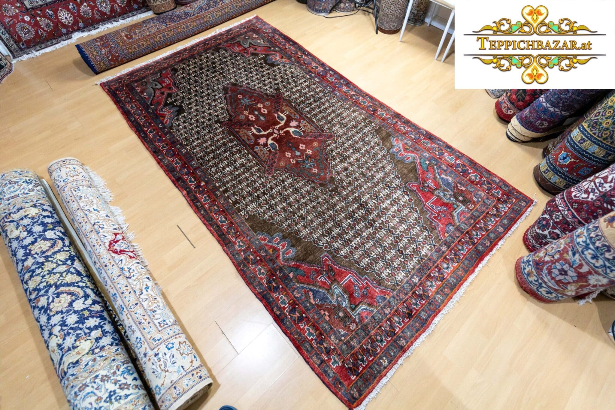 (Verkauft) W1(#280) ca. 285x157cm Handgeknüpfter Koliai Perserteppich mit Naturfarben aus Persien - sehr seltenes Muster mit Vögelmotiv