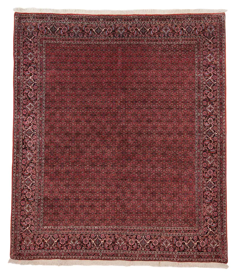 Bidjar Perserteppich 238 x 208 cm, Knotendichte 200.000 - 500.000, strapazierfähig, robust, schmutzabweisend, handgeknüpft