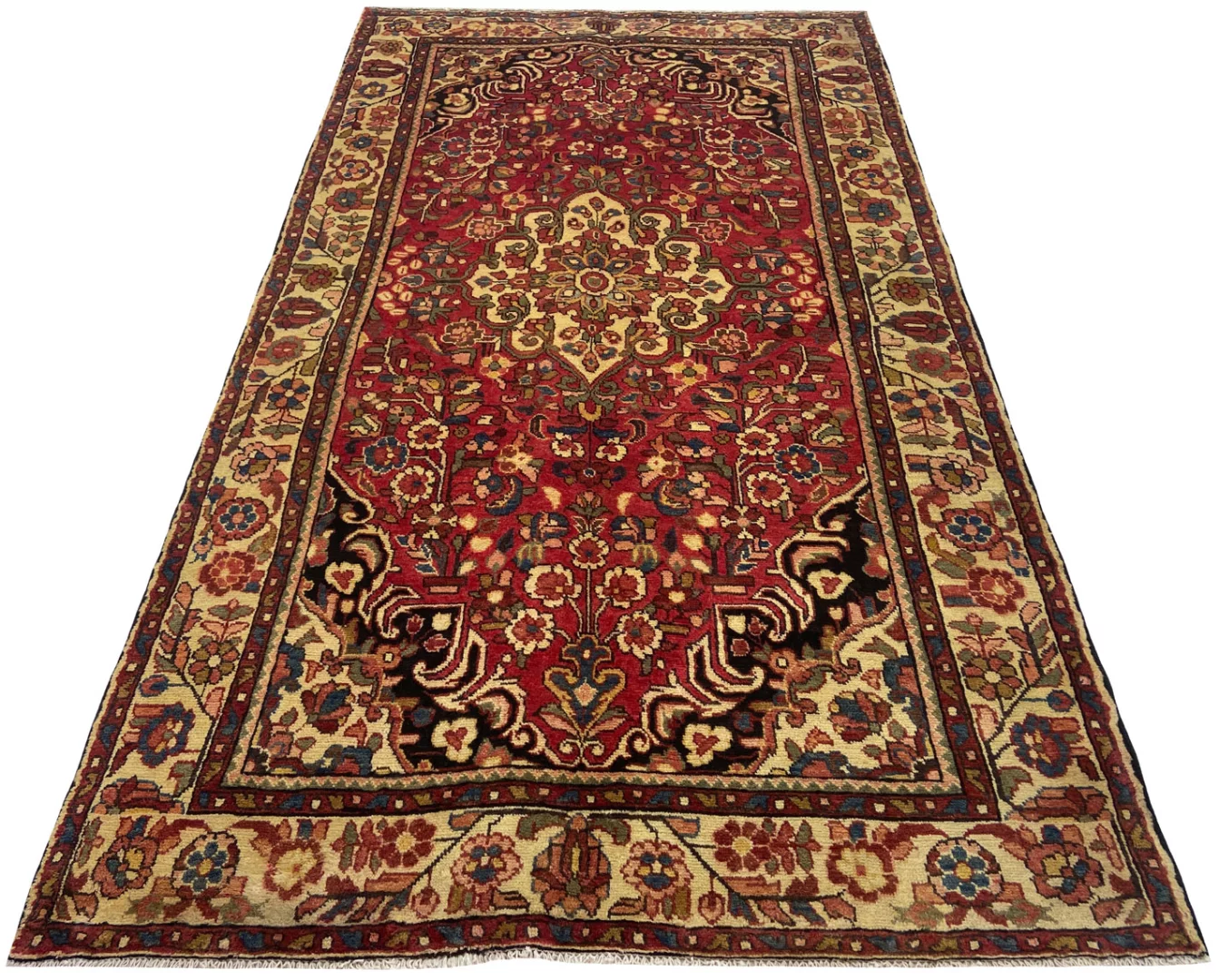 Hamadan Teppich 268 x 152 cm – 100.000 - 350.000 Knoten/m² – widerstandsfähige Wolle, vielfältiges Design – handgeknüpft, Perserteppich