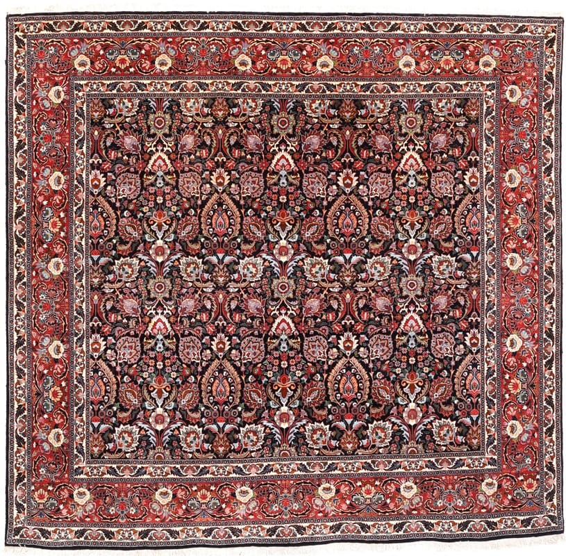 Bidjar Teppich 245x253cm - Robuster Perserteppich, handgeknüpft