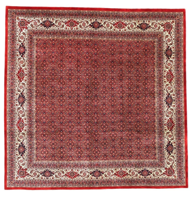 Bidjar Teppich 243x248 cm – Weich, farbenfroh, handgeknüpft