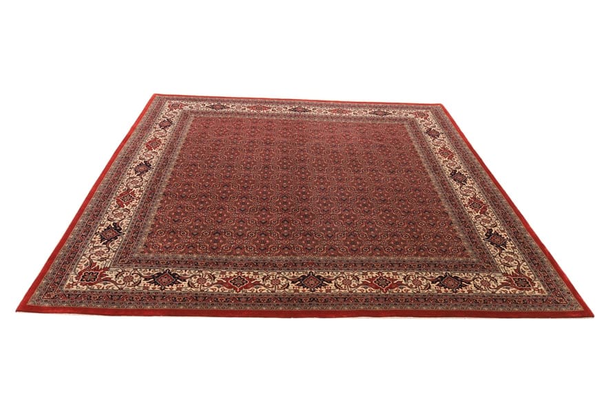 Bidjar Teppich 243x248 cm – Weich, farbenfroh, handgeknüpft