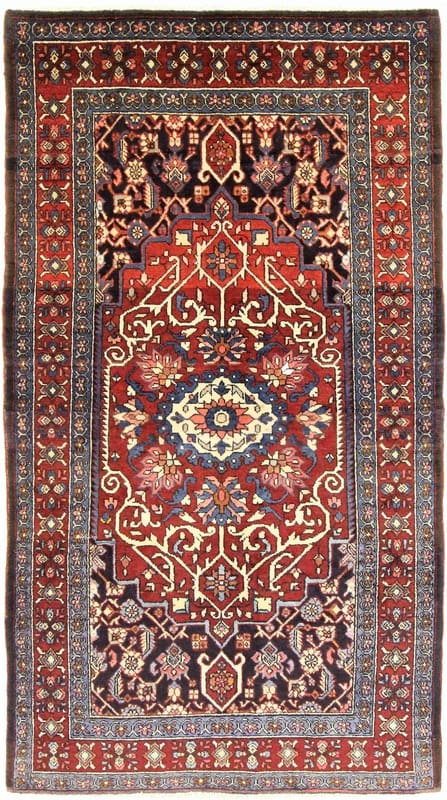 Bakhtiar Teppich 239x134 cm - Strapazierfähig, Gartenmuster, handgeknüpft