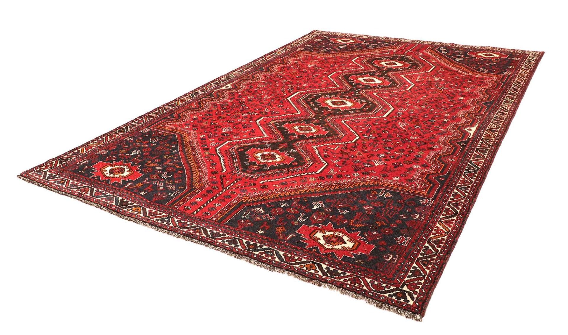 Shiraz Teppich 238 x 337cm | Wolle auf Wolle | handgeknüpft