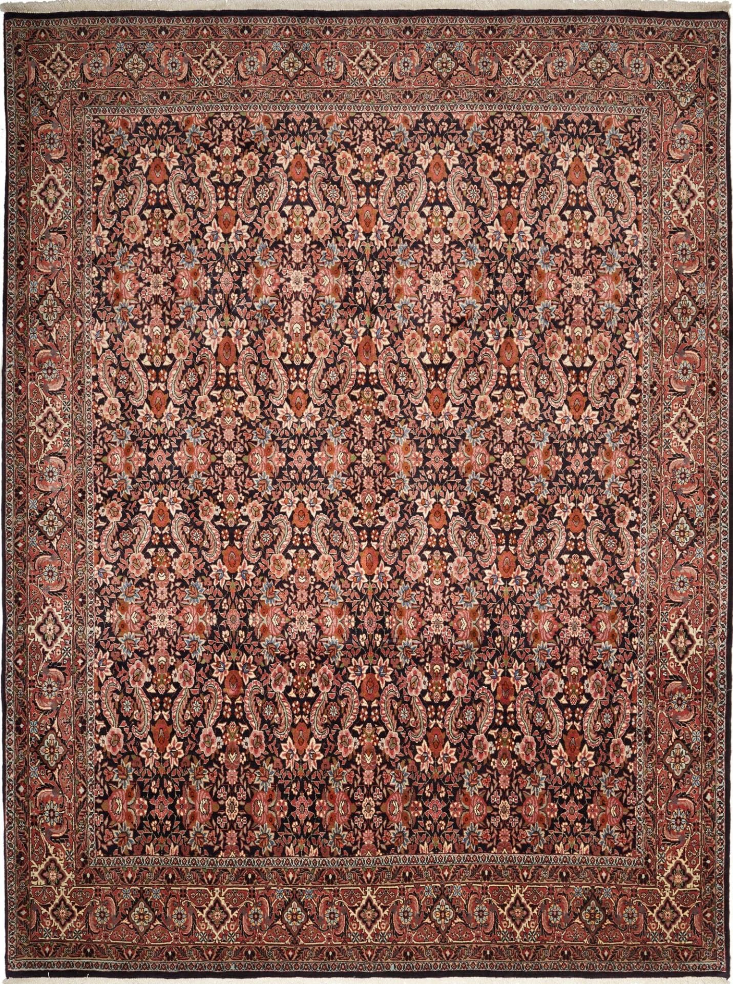 Bidjar Teppich 260 x 342 cm - Handgeknüpft, Schurwolle, Perserteppich