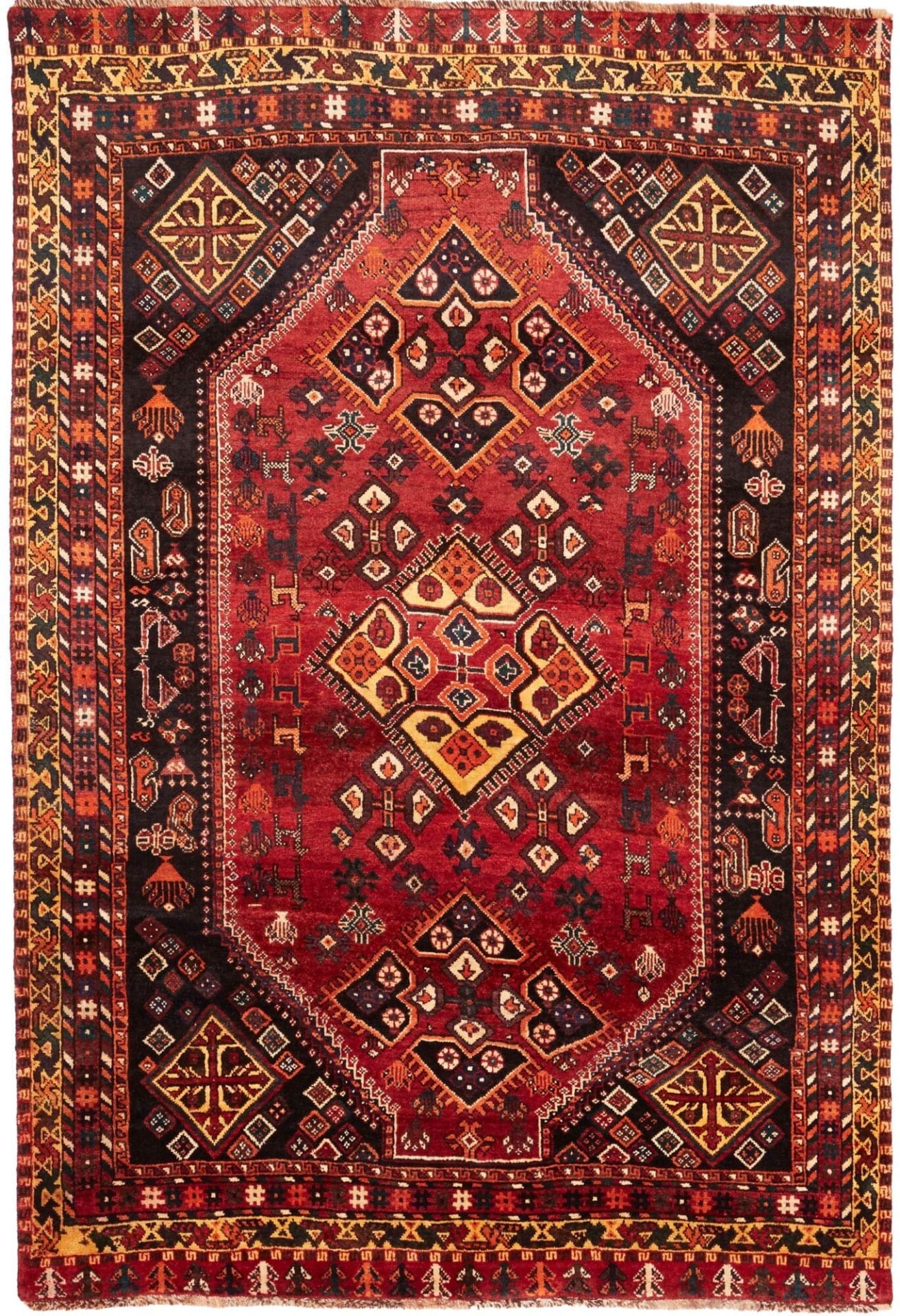 Shiraz Teppich 168 x 245 cm - Handgeknüpft aus Schurwolle