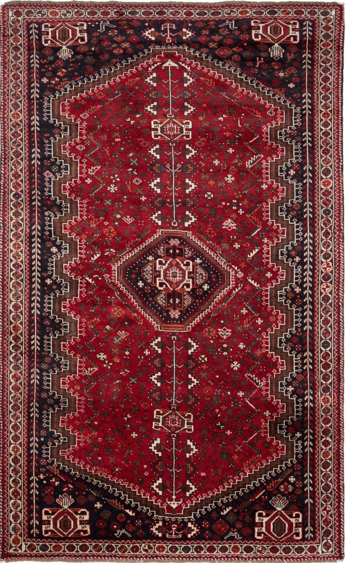 Shiraz Teppich 166 x 268cm – Handgeknüpft aus Schurwolle, Perserteppich