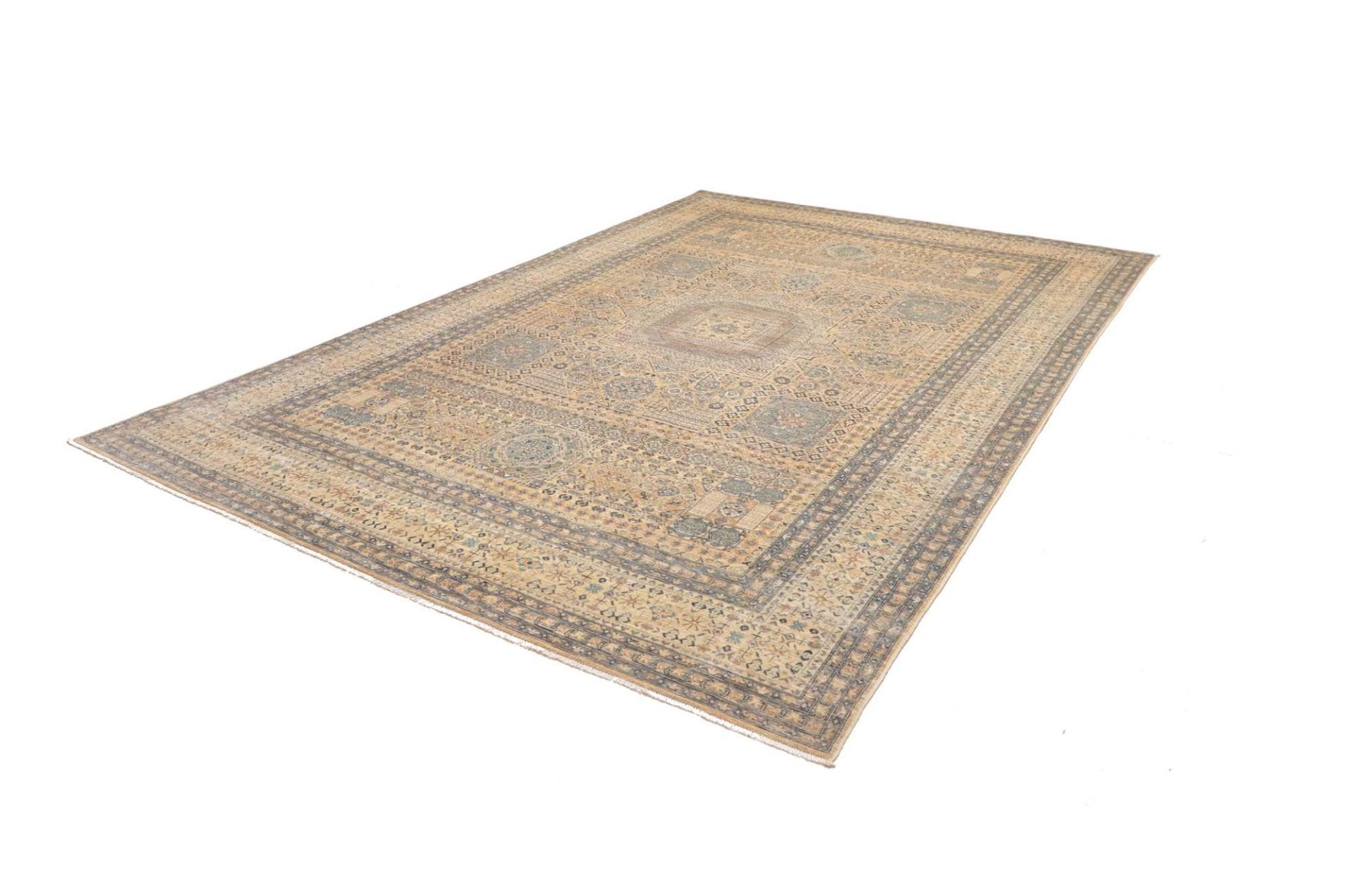 Mamluk Teppich 249 x 346cm – Schurwolle, handgeknüpft, Orientteppich