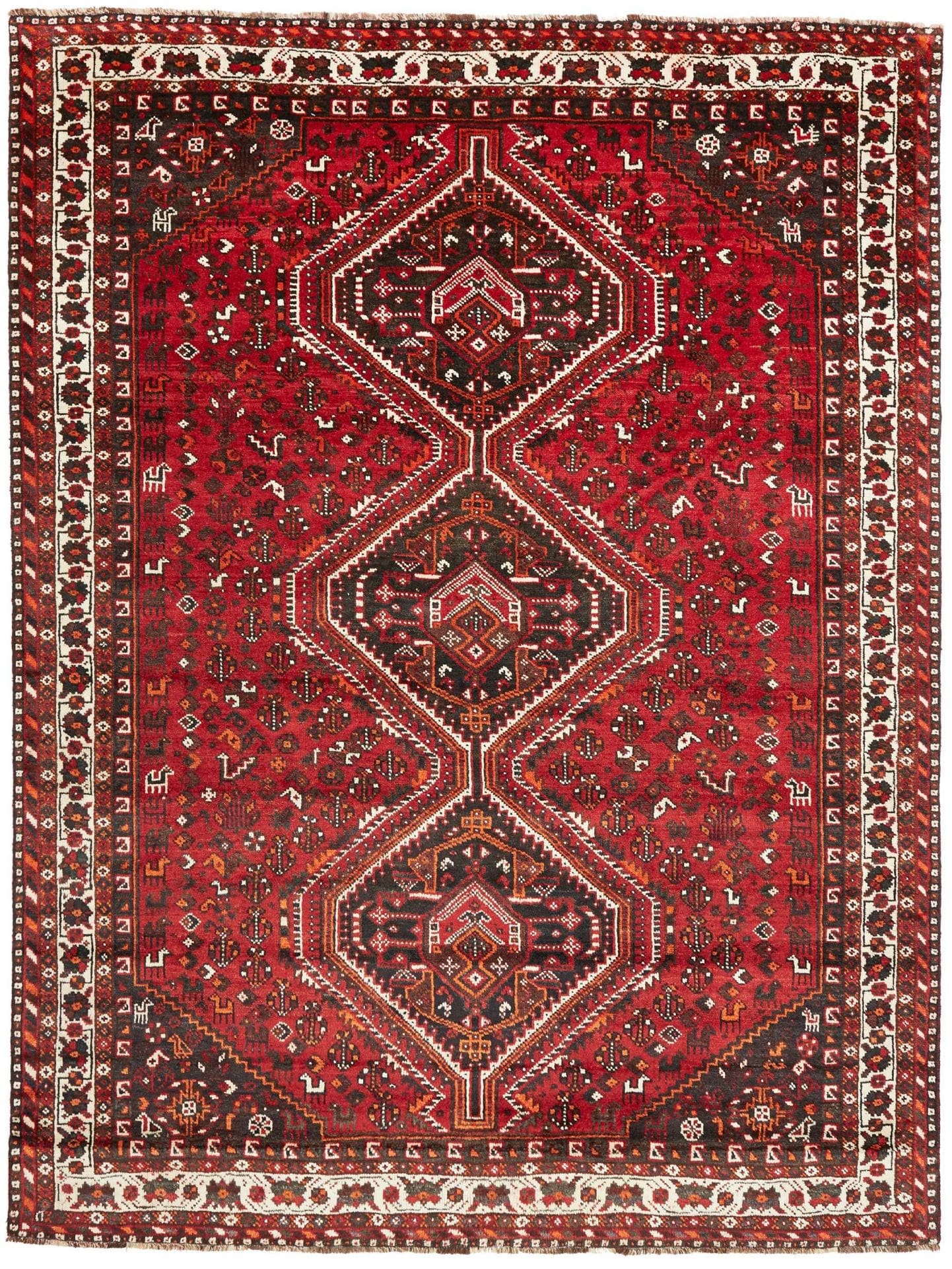 Orientteppich Shiraz 228 x 300cm | Wolle, geometrische Muster, handgeknüpft