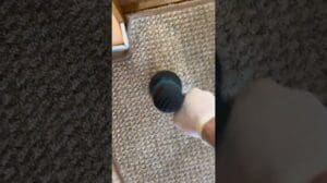 Reinigung stark verschmutzter Teppiche