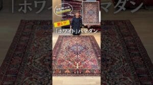 【Erstveröffentlichung】Selten! „Weiße“ Hamadan-Old-Möbel 🌼 #PersischeGalerie #Teppich #Rug #Teppich #VintageMöbel #AntikeMöbel #Interieur #Stammesteppich