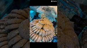 Ein süßer Tag in Tabriz: Perserteppiche, Qorabieh & Katzen des Bazaars 🐾🧁🧿