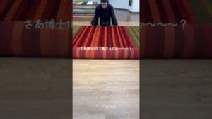 Gabbeh-Herausforderung② #Gabbeh #Nomaden #Kaschkai #Kunst #Interieur #Teppich