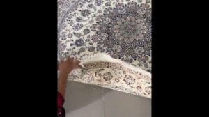 Das Wunder des iranischen Teppichs von Meisterweber, günstiger Preis #youtubeshorts #iranischerTeppich #handgemacht #WeltweiterVersand