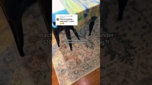 „Ein stilvoller, maschinenwaschbarer Teppich für unter 100 $ und KOSTENLOSER VERSAND? Hol dir jetzt deinen!“