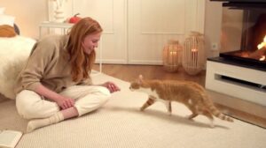 Kibek Wollteppiche: Gemütlich, natürlich, Zuhause #kibek #teppich