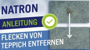 Teppichreinigung mit Natron Tipps - (Flecken vom Teppich entfernen)