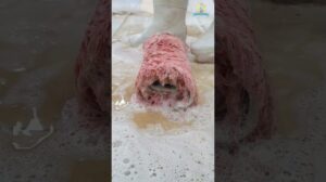 Erstaunliche EXPLOSIVE SCHIUMREINIGUNG Zufriedenstellender Überschwemmter Teppich - ASMR TEPPICHREINIGUNG #shorts
