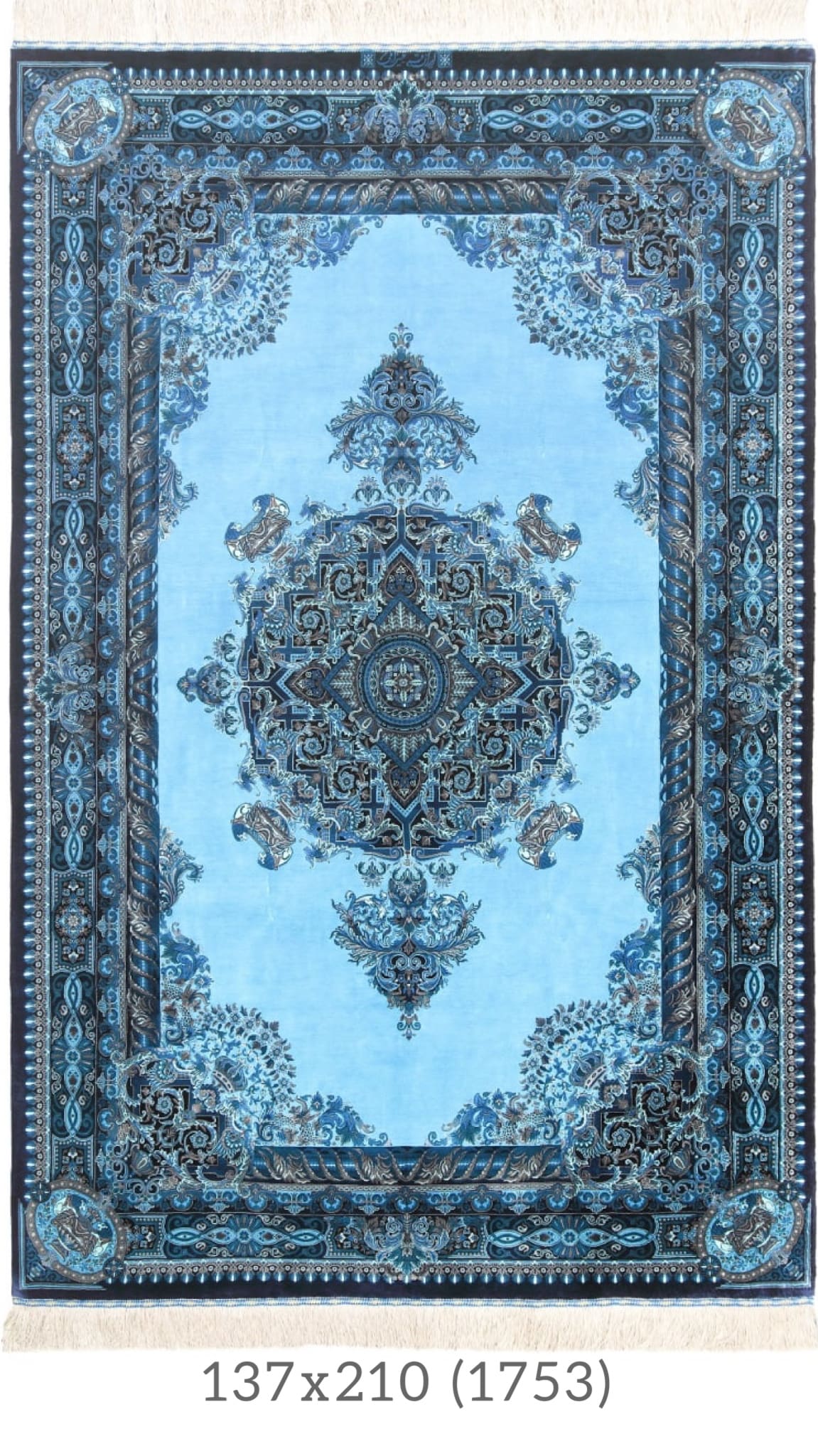 IMG_2450 Partneritet në Evropë me Erami Carpet – Arti i Qilimave të Mëndafshit Qom