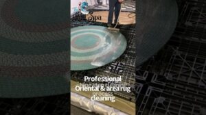 Neue professionelle Teppichreinigungsanzeige