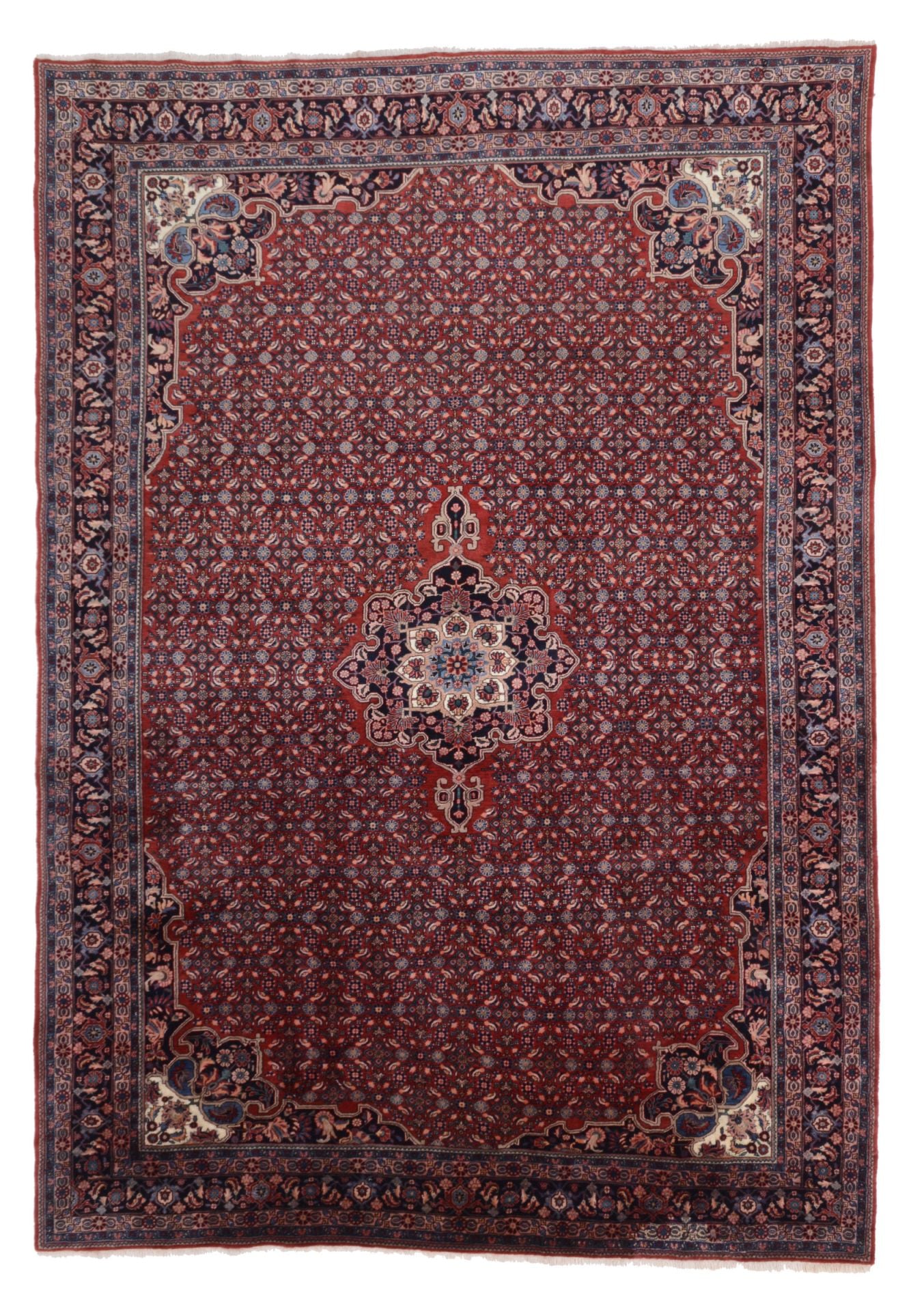 Perserteppich Bidjar 263 x 376 cm Schurwolle handgeknüpft perfekt