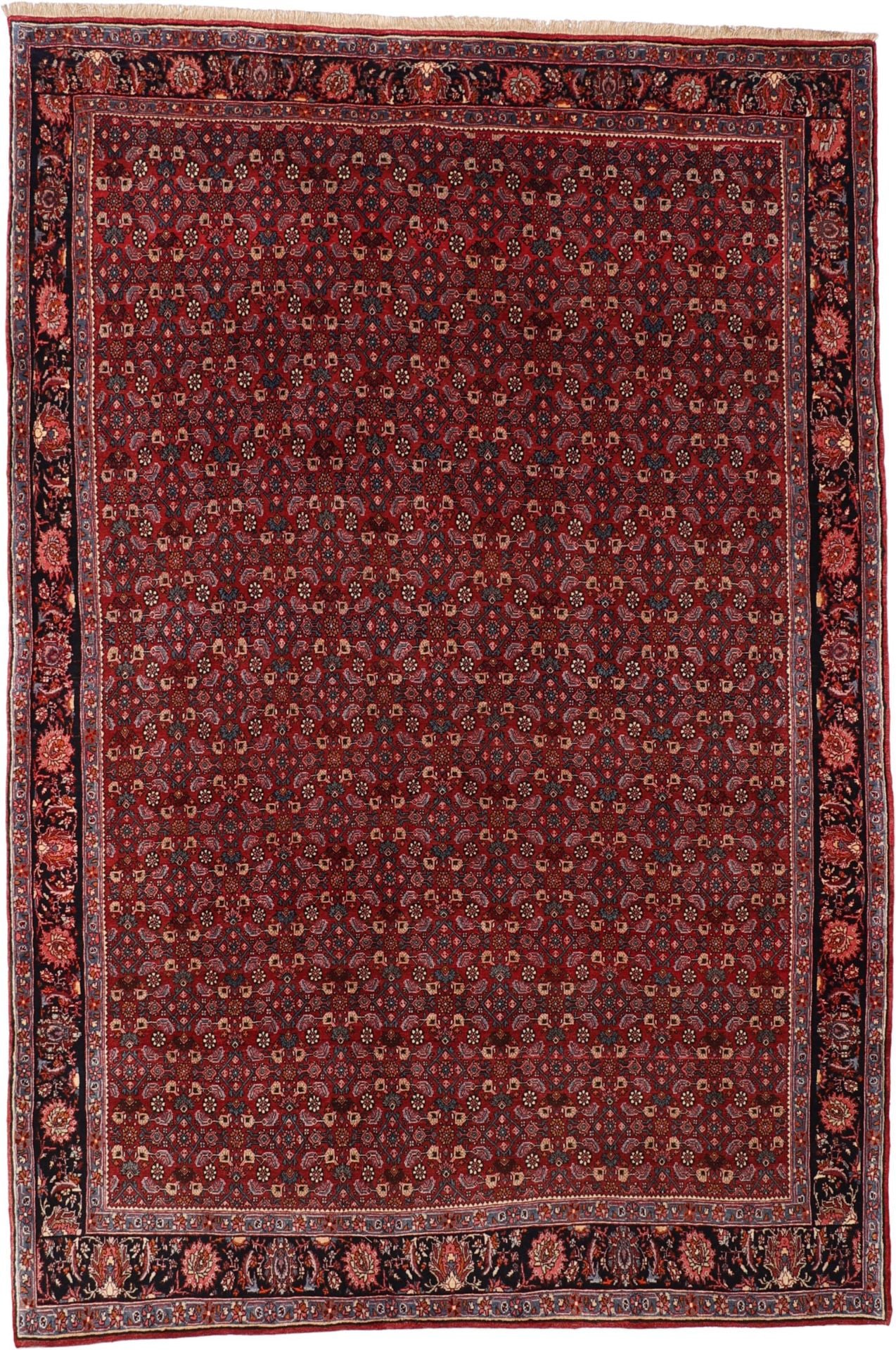 Perserteppich Bidjar 225 x 335 cm Schurwolle handgeknüpft vintage