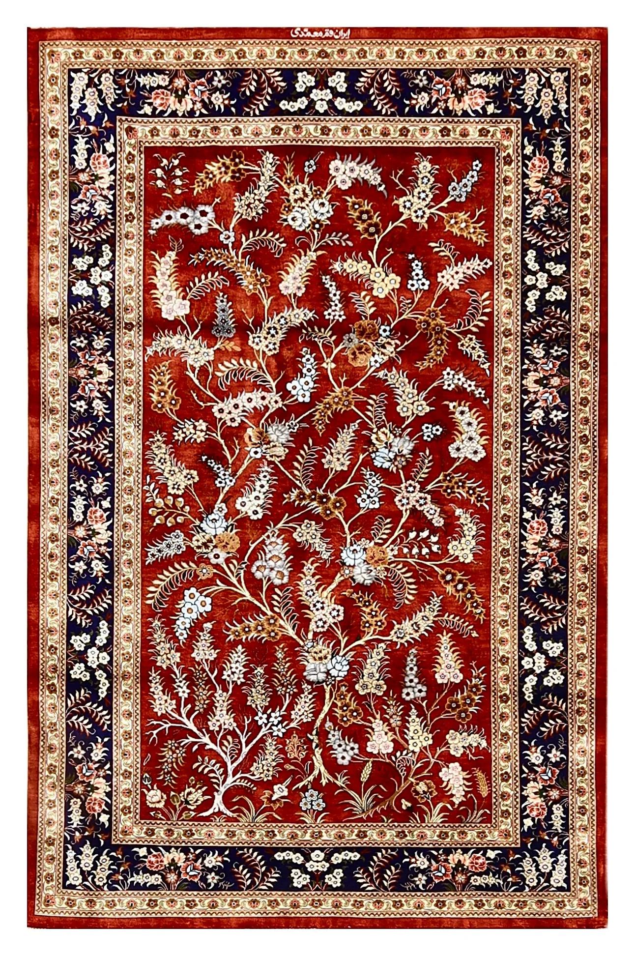 Ghom Seidenteppich signiert „Motamedi“ 150 x 98 cm Seide auf Seidenkette