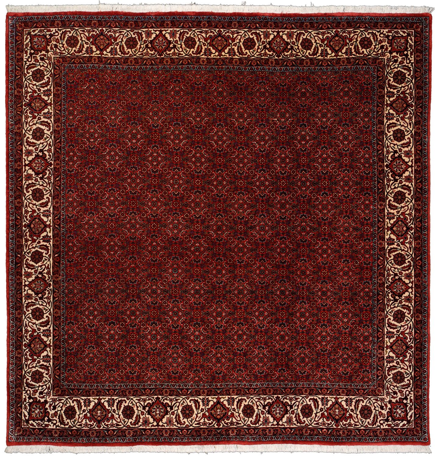 Perserteppich Bidjar 208 x 214 cm Schurwolle Seide handgeknüpft